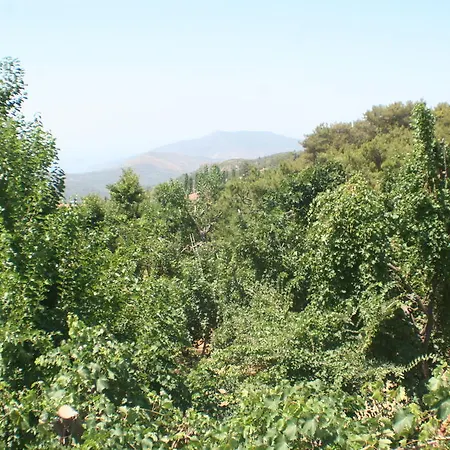 Mercan Apart Kalkan